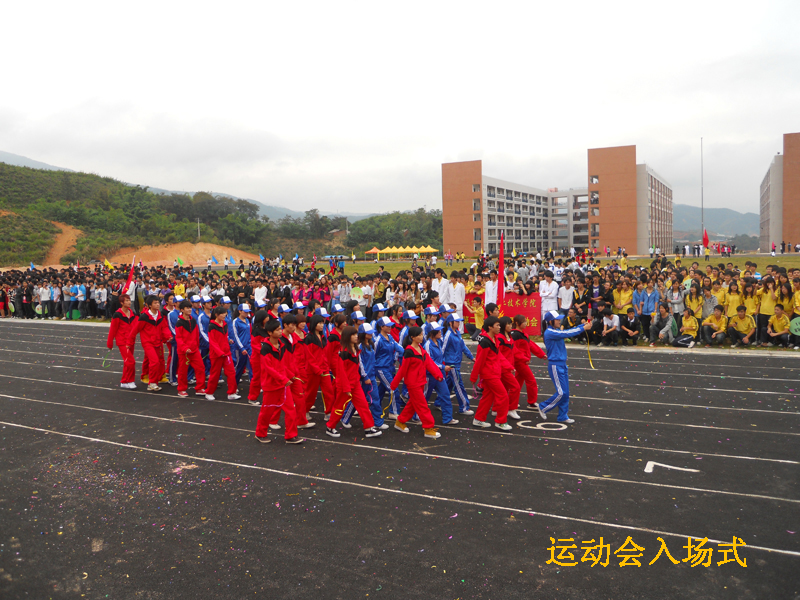 2025年新澳门原料免费