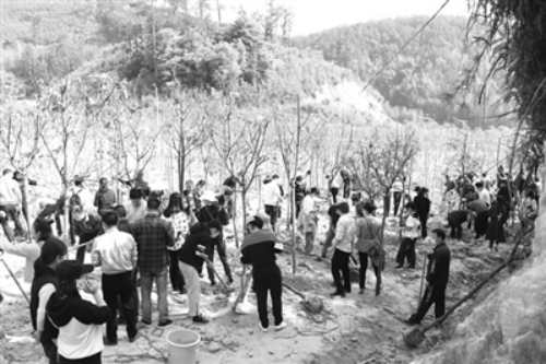 2025年新澳门原料免费