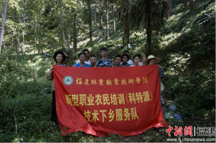 2025年新澳门原料免费