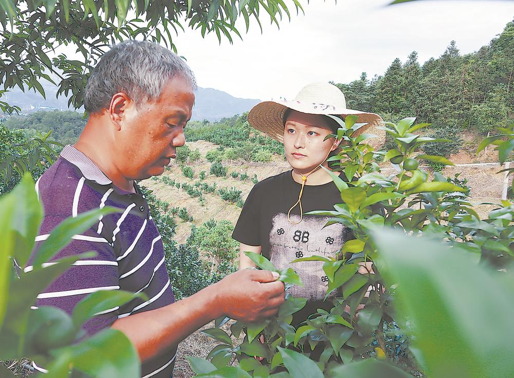 2025年新澳门原料免费