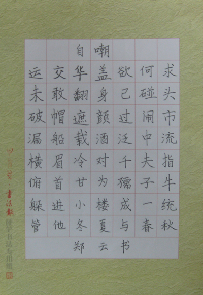2025年新澳门原料免费