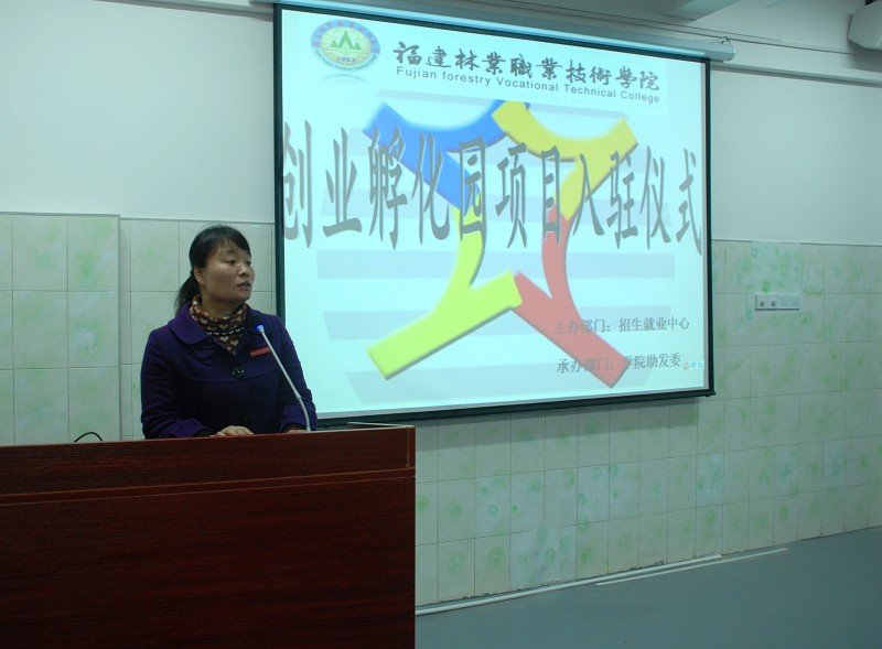 2025年新澳门原料免费