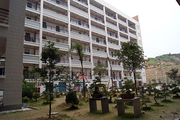 2025年新澳门原料免费