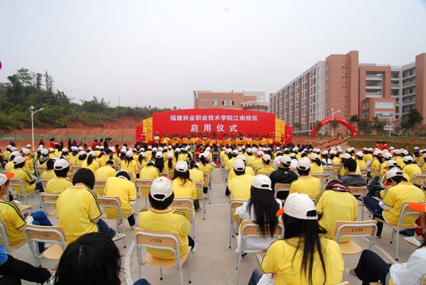 2025年新澳门原料免费