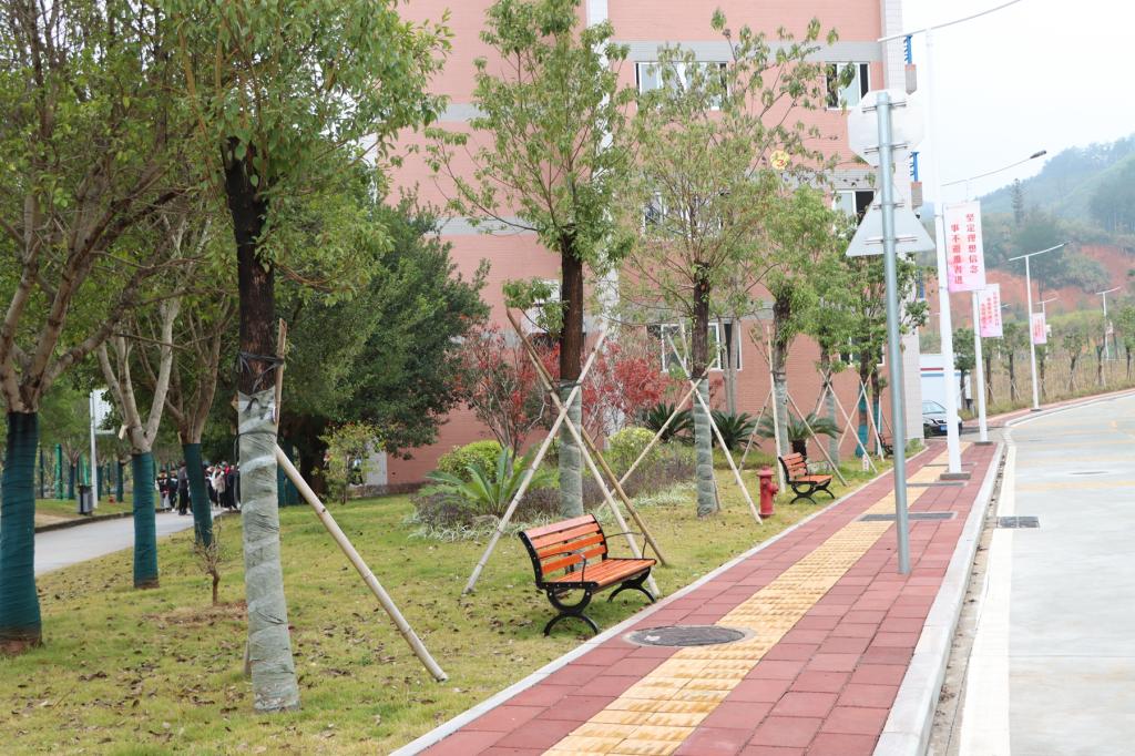 2025年新澳门原料免费