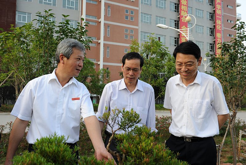 2025年新澳门原料免费