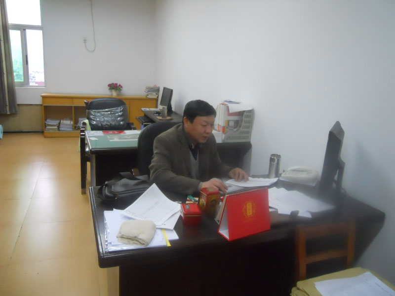 2025年新澳门原料免费