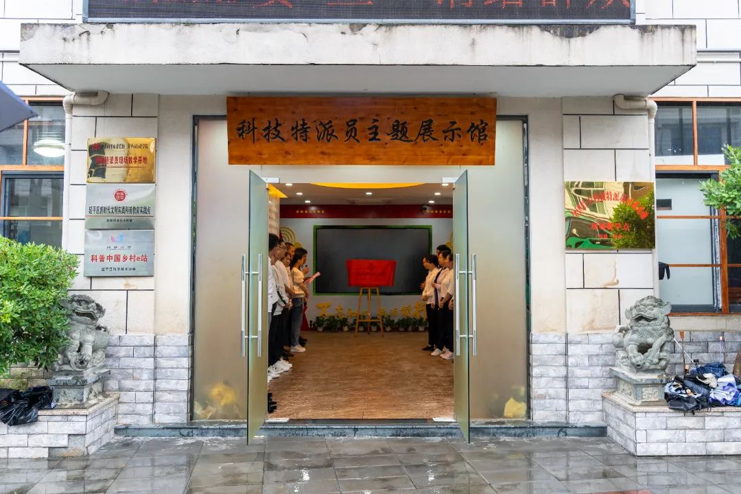 2025年新澳门原料免费