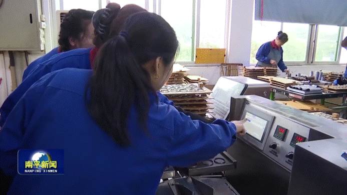 2025年新澳门原料免费
