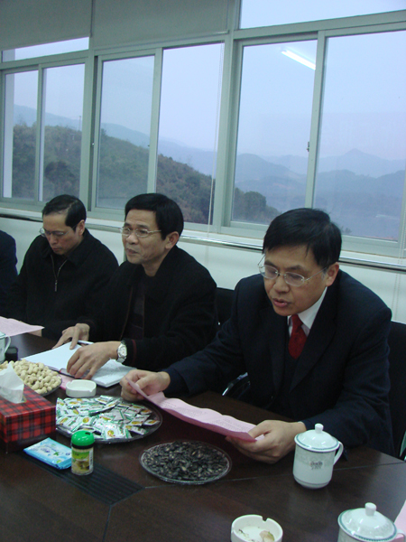 2025年新澳门原料免费