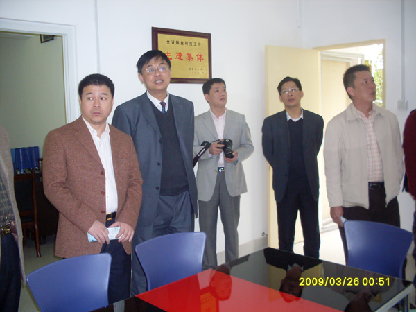 2025年新澳门原料免费