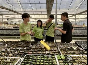 2025年新澳门原料免费 2025年新澳门原料免费
