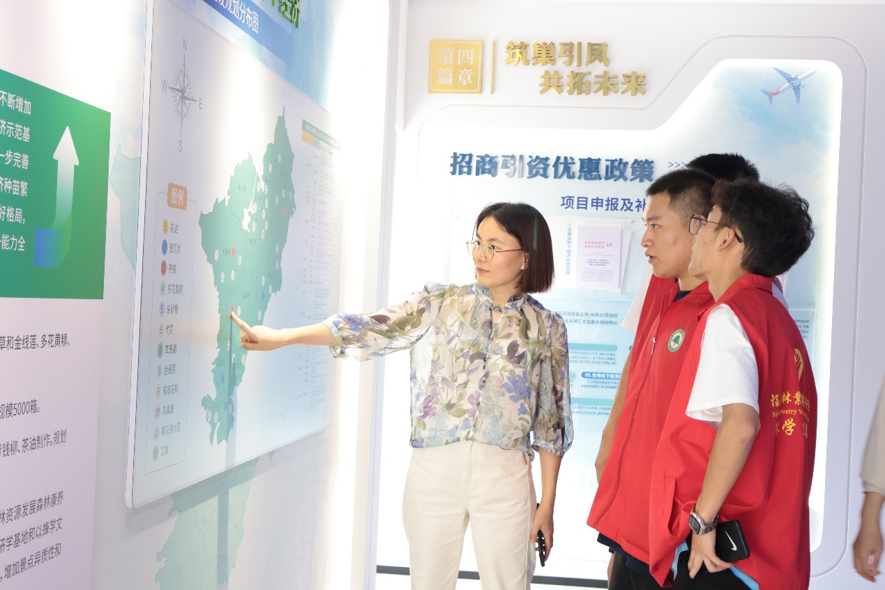 2025年新澳门原料免费