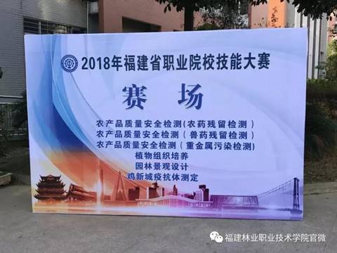 2025年新澳门原料免费