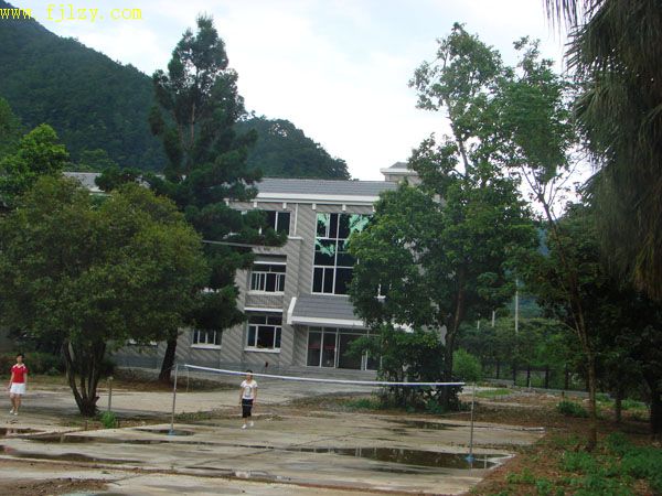 2025年新澳门原料免费