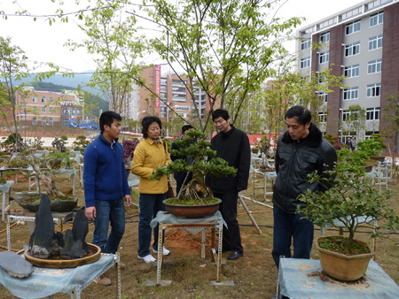 2025年新澳门原料免费