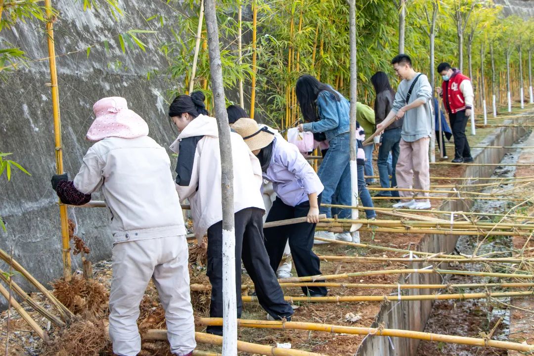 2025年新澳门原料免费