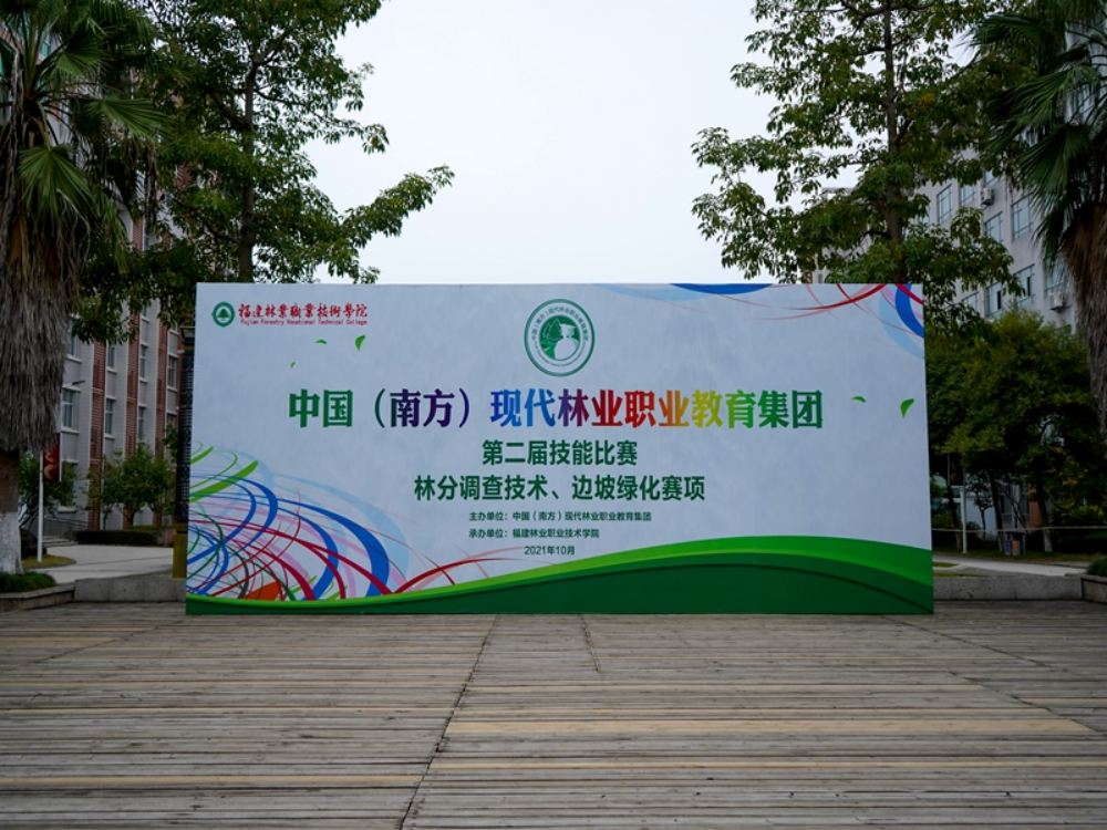2025年新澳门原料免费