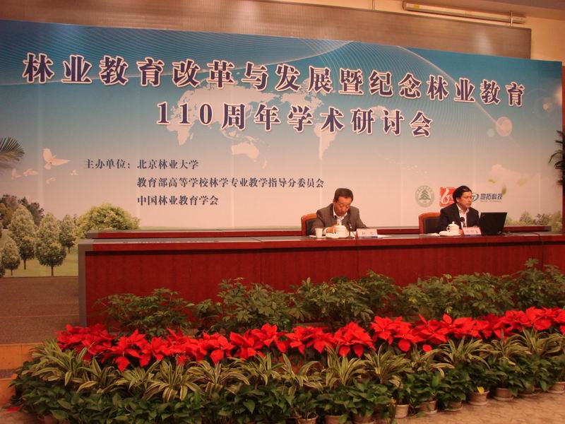 2025年新澳门原料免费