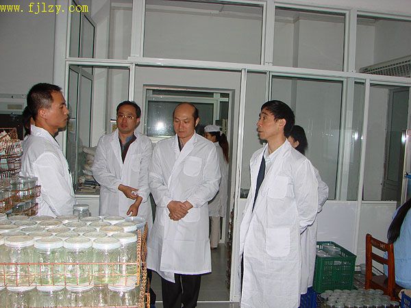 2025年新澳门原料免费