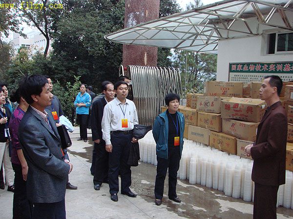 2025年新澳门原料免费