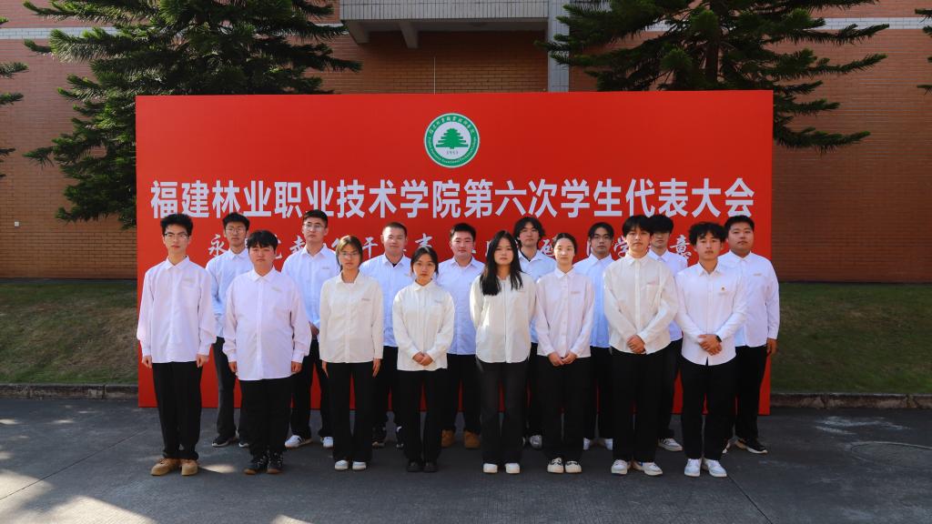 2025年新澳门原料免费