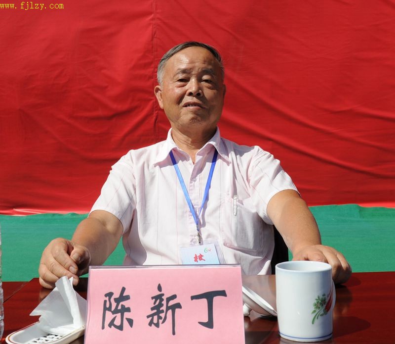 2025年新澳门原料免费