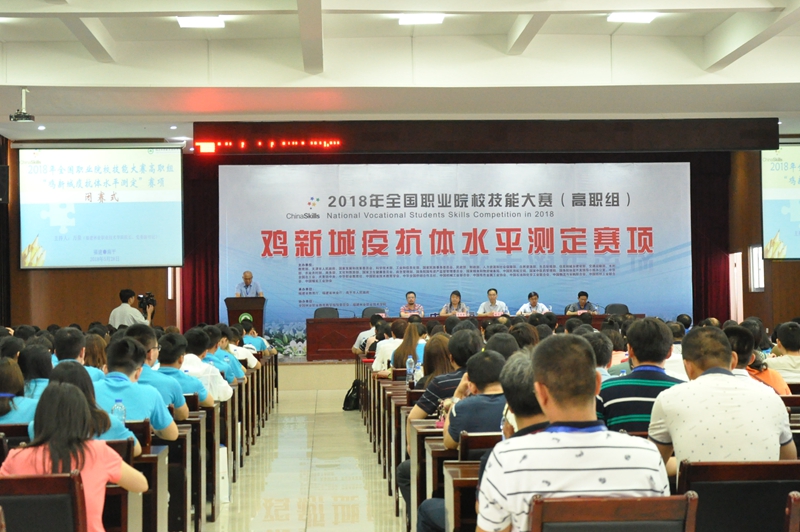 2025年新澳门原料免费