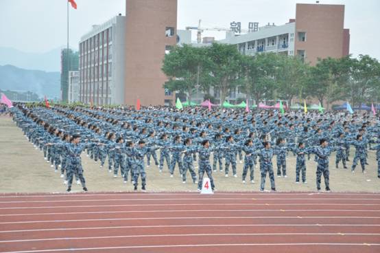 2025年新澳门原料免费