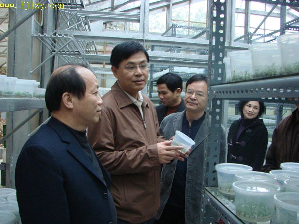2025年新澳门原料免费