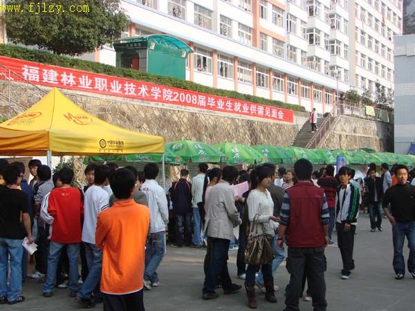 2025年新澳门原料免费
