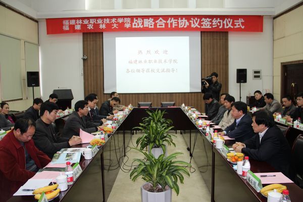 2025年新澳门原料免费