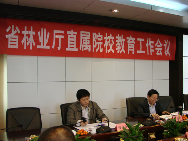 2025年新澳门原料免费