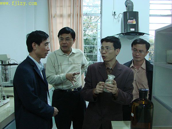2025年新澳门原料免费