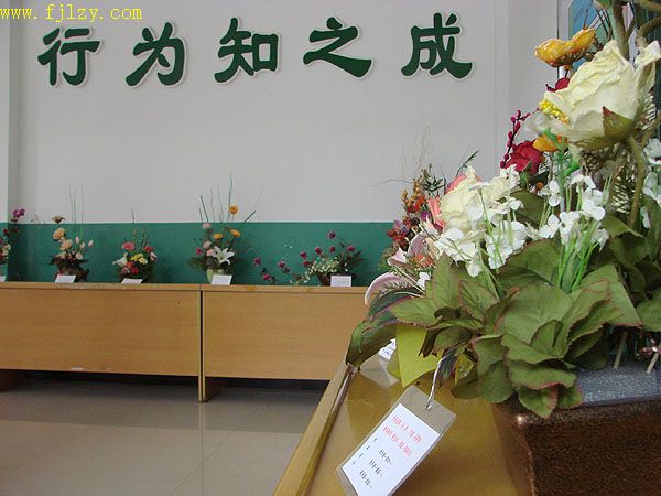 2025年新澳门原料免费