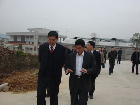 2025年新澳门原料免费