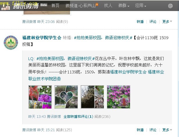 2025年新澳门原料免费