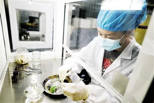 2025年新澳门原料免费