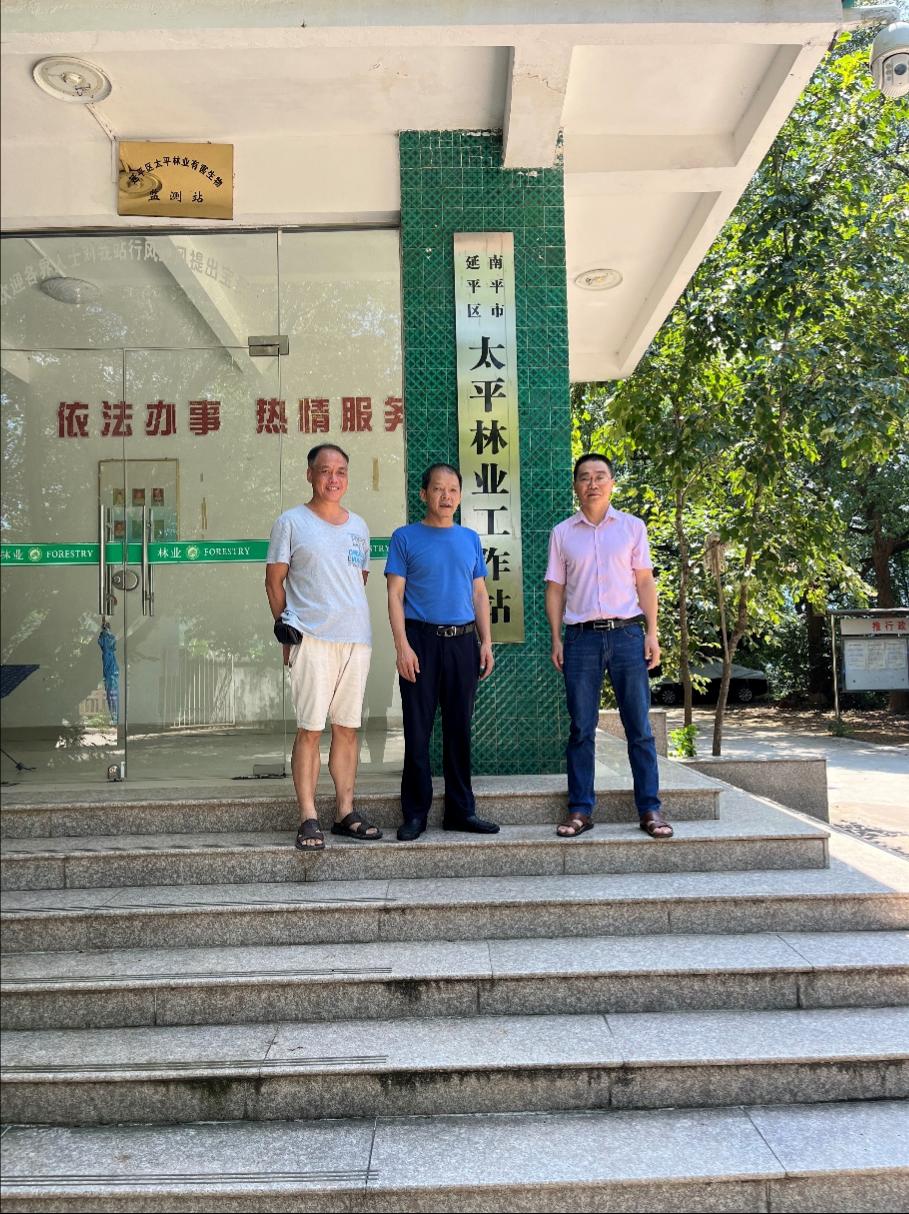 2025年新澳门原料免费