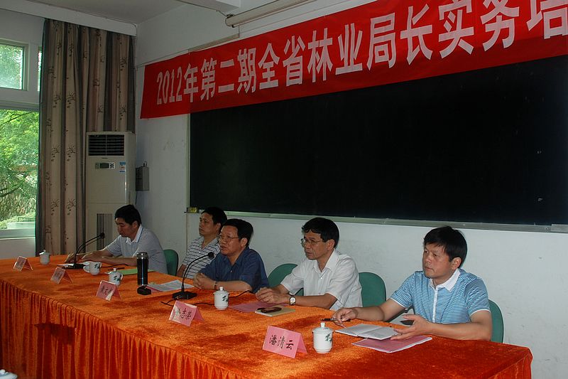 2025年新澳门原料免费