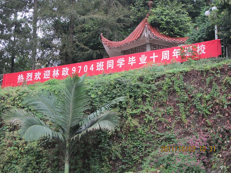 2025年新澳门原料免费