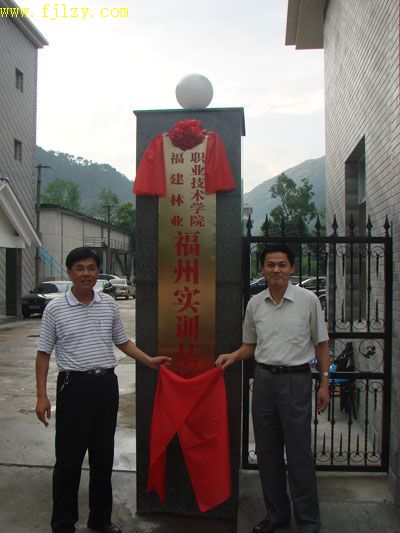 2025年新澳门原料免费