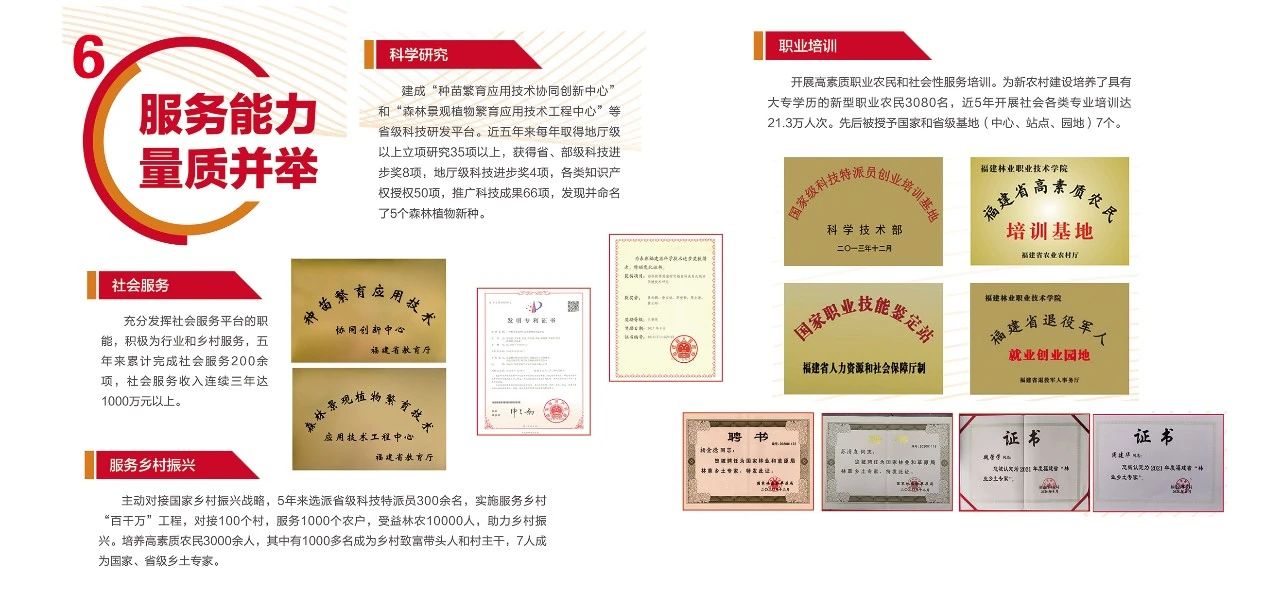 2025年新澳门原料免费