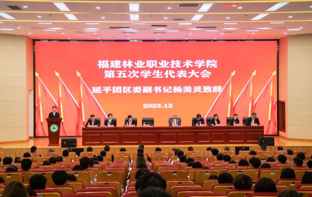 2025年新澳门原料免费