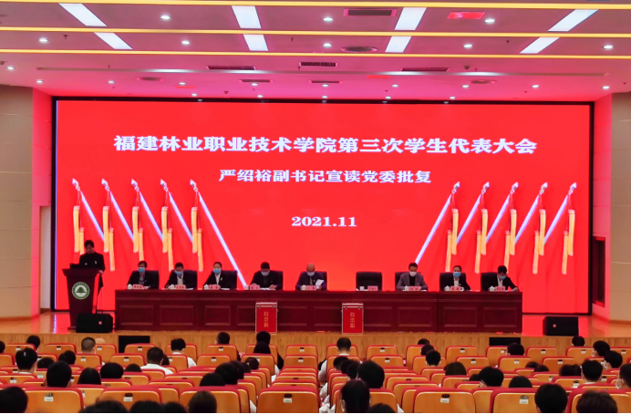 2025年新澳门原料免费