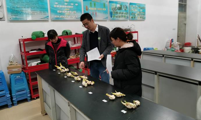 2025年新澳门原料免费