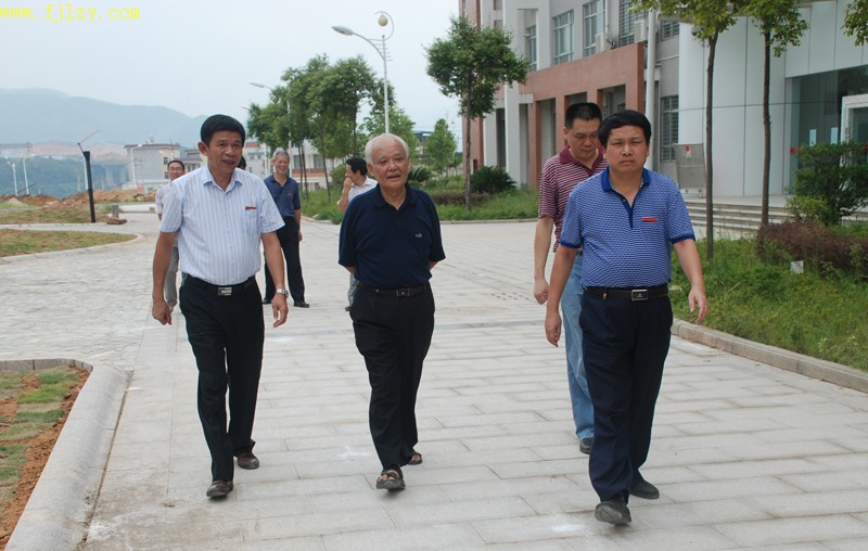 2025年新澳门原料免费