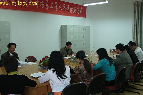2025年新澳门原料免费