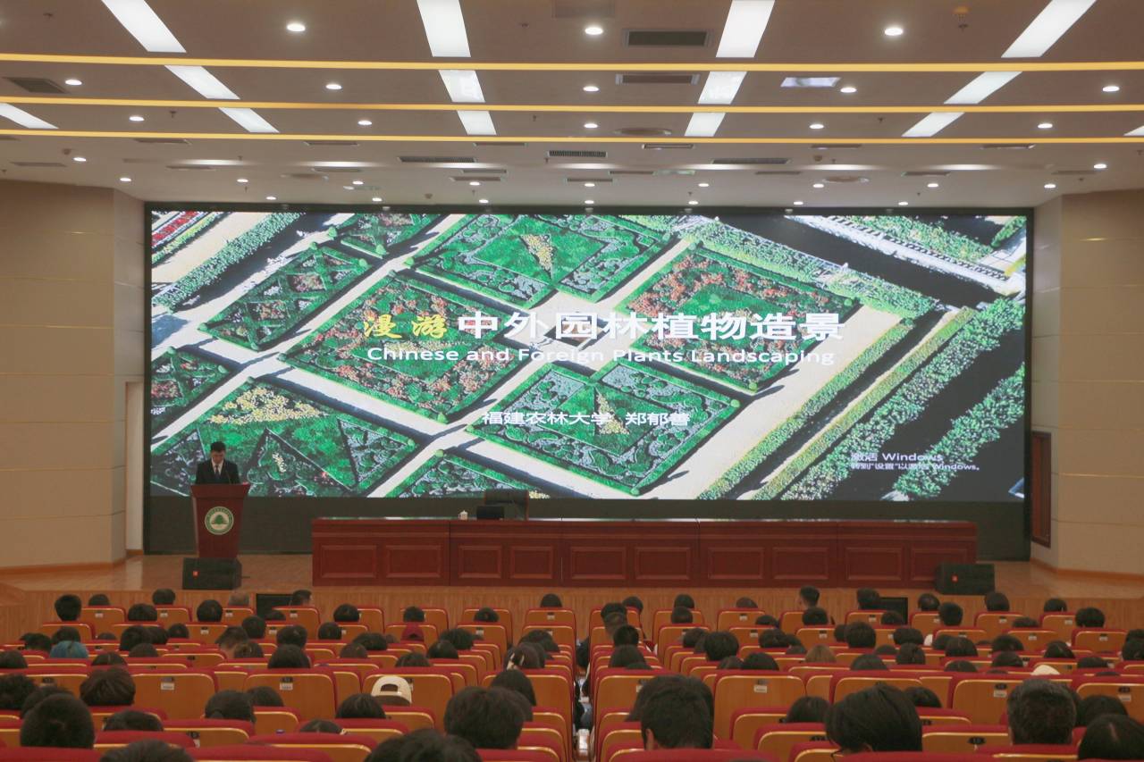 2025年新澳门原料免费