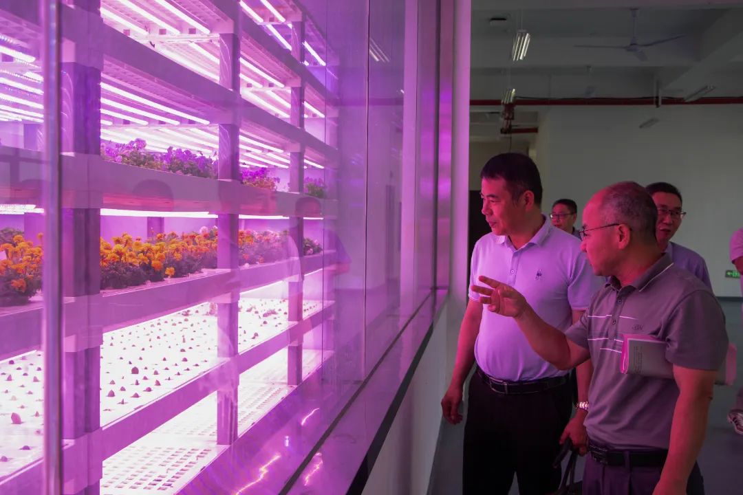 2025年新澳门原料免费 2025年新澳门原料免费